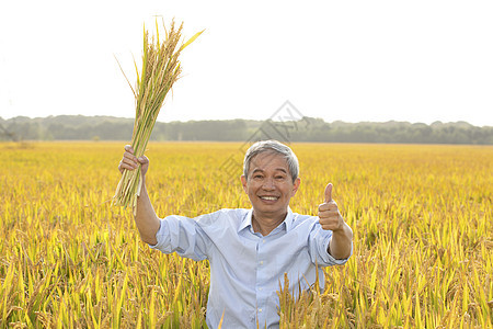 农民举着一把稻子点赞图片