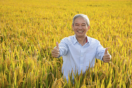 站在稻田里双手点赞的农民形象图片