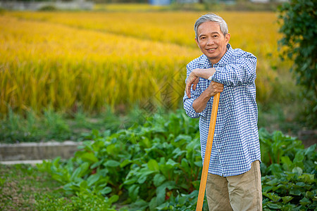 正在开垦土地微笑的农民种菜高清图片