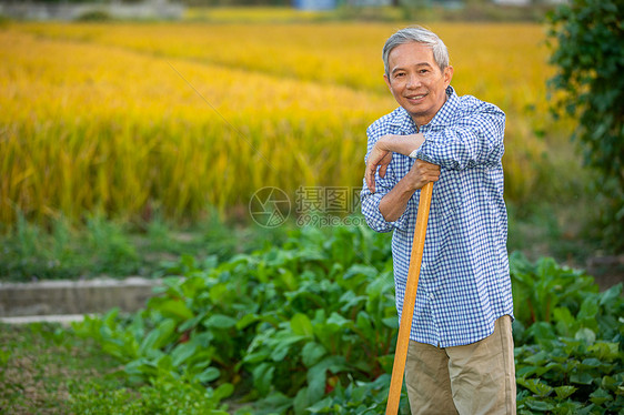 正在开垦土地微笑的农民种菜图片