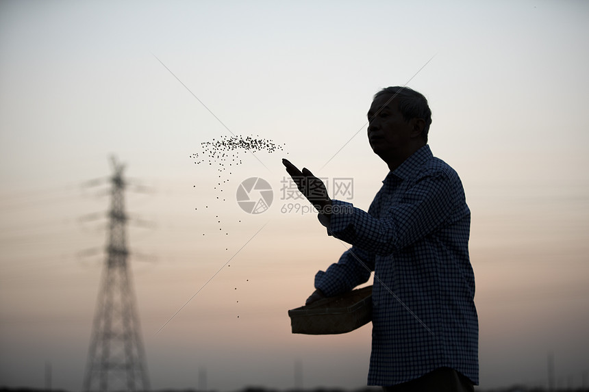 夕阳下播撒种子的农民剪影