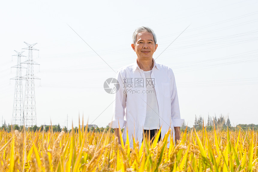 站在稻田里的农民形象图片