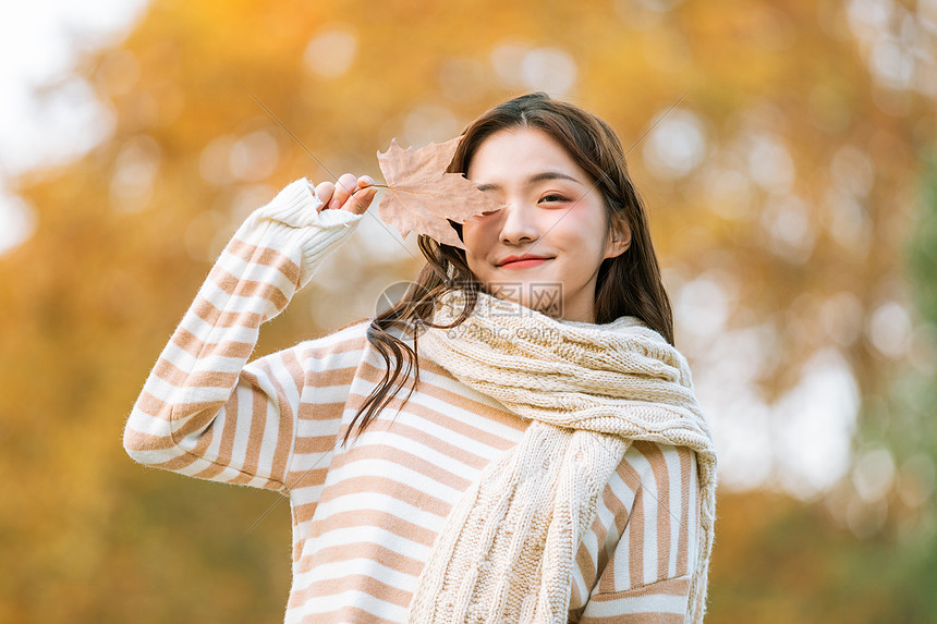 秋季可爱女孩手拿枫叶的图片