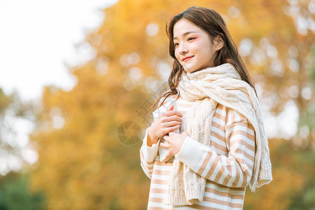 夏季清新秋季清新美女户外阅读背景