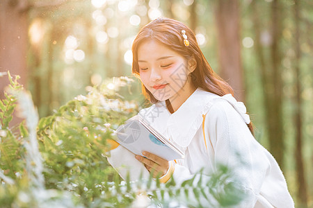 年轻蕨类植物森系美女公园阅读学习背景