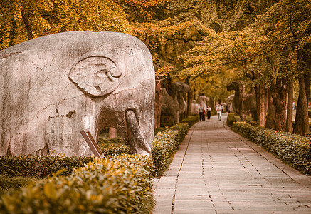 南京深秋的明孝陵石象路神道图片