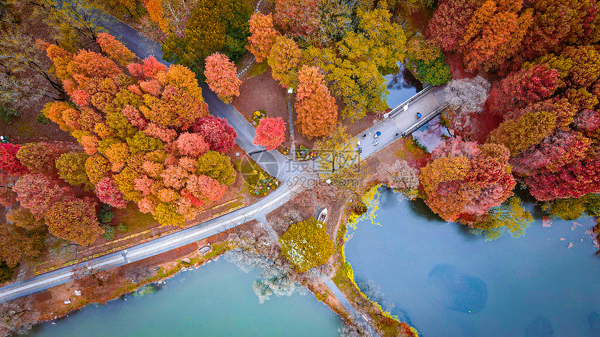 深秋的南京钟山风景区图片