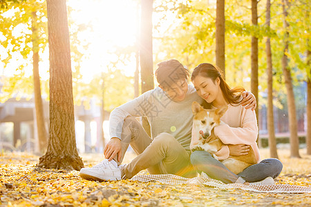 情侣在秋季落叶下带着爱犬玩耍图片