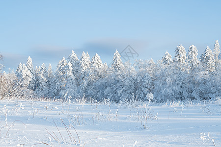 卡通冬天雪景吉林雪岭冰雪风光背景