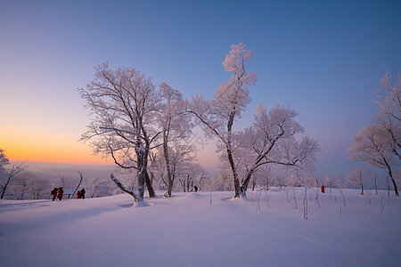 小雪节气吉林亚龙湾群景区冬天雾凇树挂风景背景