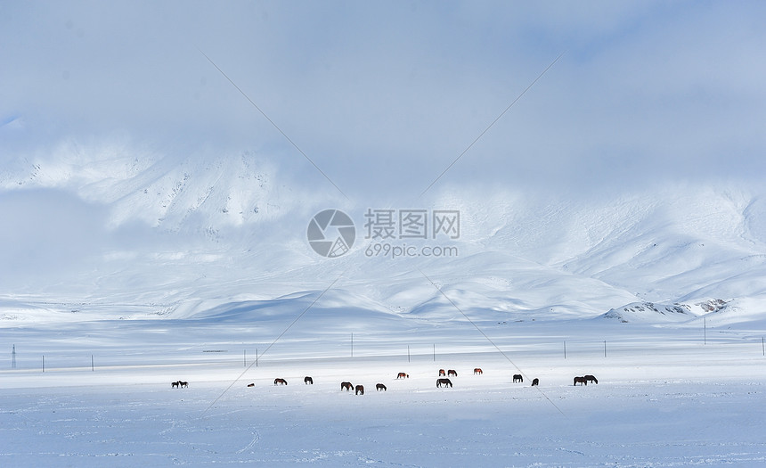 冬天坝上风景图片