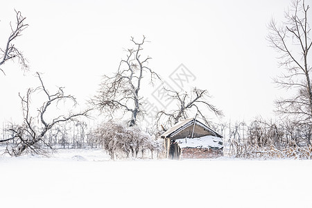 雪地房屋背景