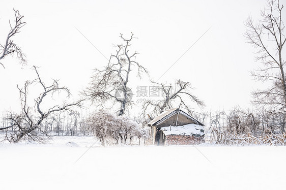 雪地房屋图片