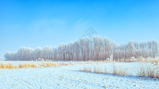 内蒙古冬季山村雪景树木高清图片素材