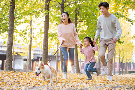 一家三口带着宠物在森林里奔跑高清图片