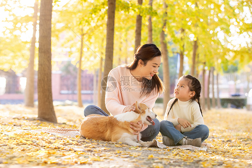 母女两人带着宠物在公园里玩耍图片