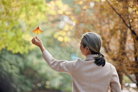 老年娱乐秋季老人公园里拿落叶背影背景