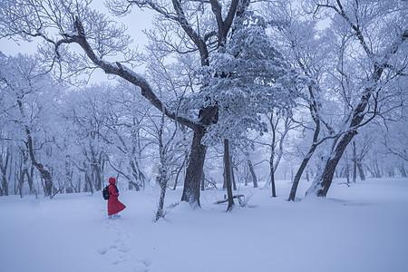 吉林亚龙湾景区冬天树挂风景雪地高清图片素材