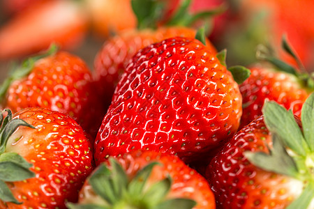 丹东草莓红色的草莓背景
