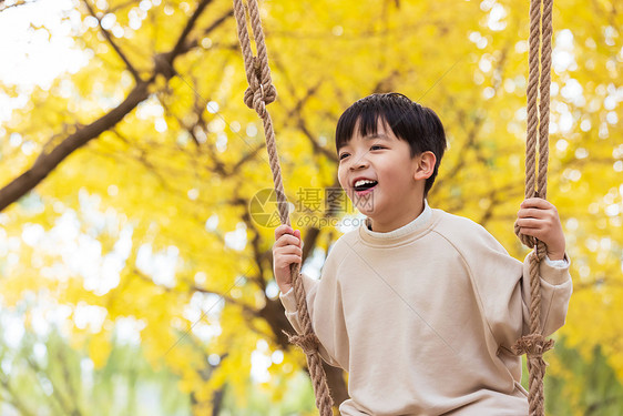 秋季儿童银杏树下荡秋千图片