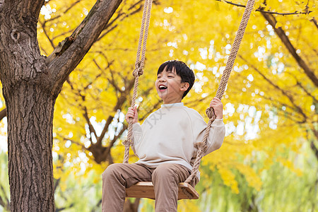 秋季儿童银杏树下荡秋千图片