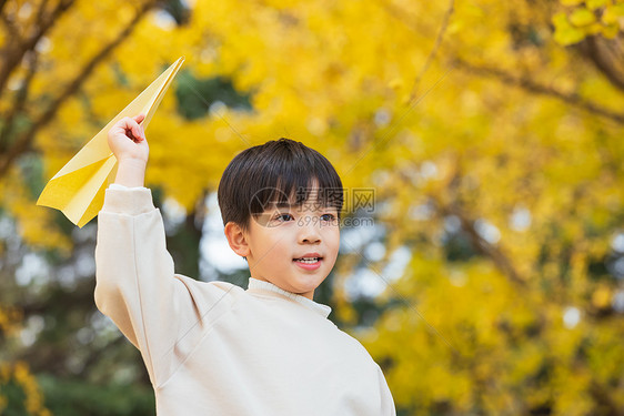 秋季小男孩银杏树下扔纸飞机图片