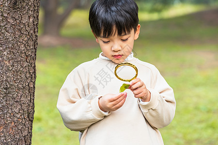 秋季小男孩公园里拿放大镜观察植物图片