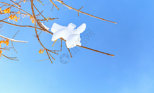 内蒙古冬季树枝冰雪图片