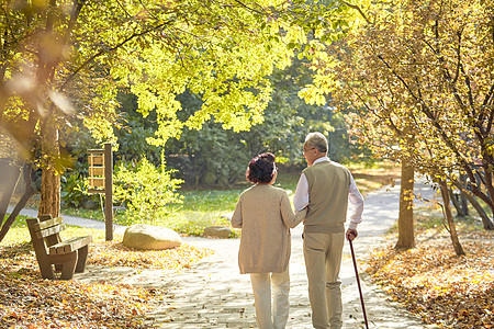 秋季老年夫妇公园散步背影图片