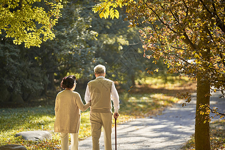 冬季背影素材老年夫妇公园走路背影背景