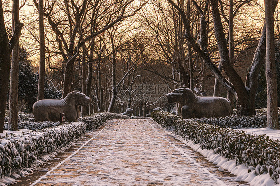 中国江苏南京明孝陵雪景图片