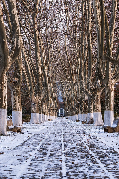 中国江苏南京明孝陵雪景图片