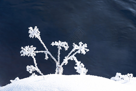 雪地亚龙湾雪玲冬天风光背景