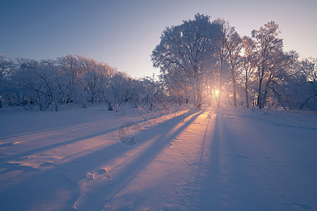 亚龙湾景区四方顶子冬天风光雪景高清图片素材