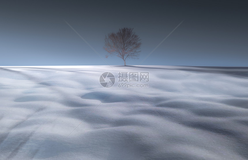 冬季雪景图片