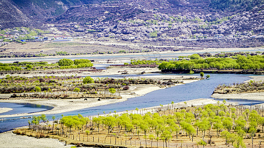 田地壁纸西藏林芝雅鲁藏布江湿地公园背景