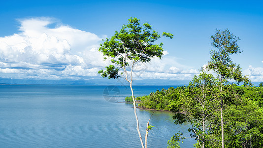 泰国热带椰风椰林海滨海域图片