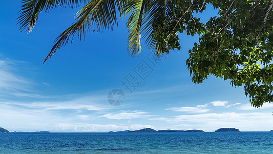 泰国热带椰风椰林海滨海域背景图片