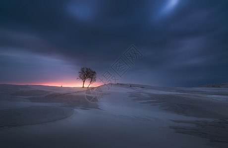 唯美大寒雪景新疆伊犁冬季雪景背景