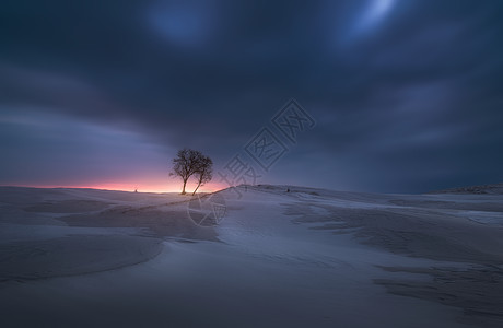 新疆伊犁冬季雪景背景图片