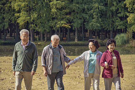 老年人散步老年人早晨公园散步背景