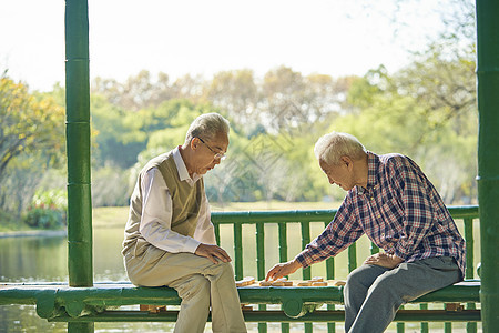 老年人公园下象棋图片