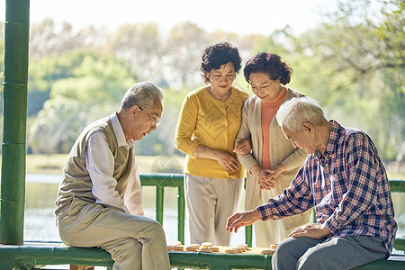 老年人公园下象棋图片