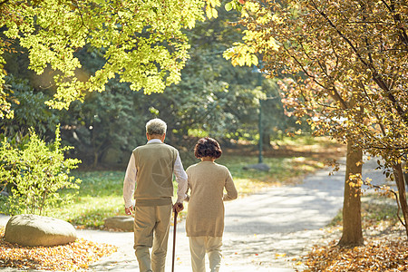 老年人锻炼老年夫妇早晨公园散步背景