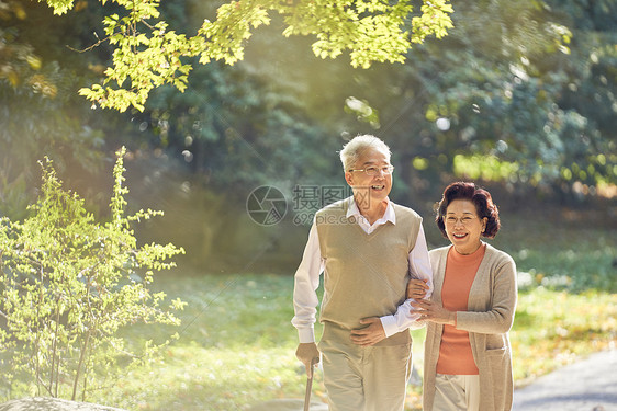 老年夫妇早晨公园散步图片