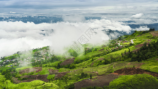 林 雾泰国北部高原山顶云海背景