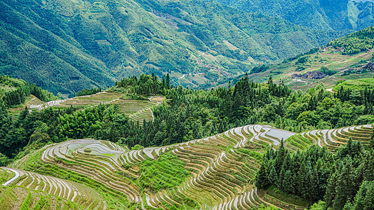 千年瑶寨春耕的梯田背景