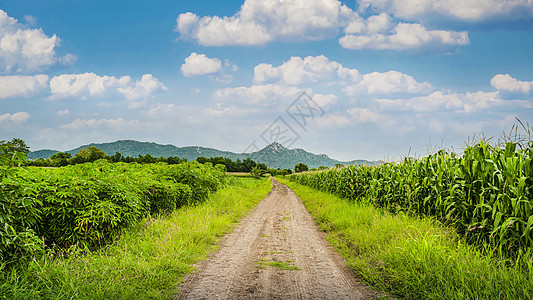 泰国田野农田乡村郊外道路高清图片