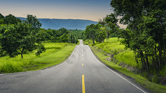 森林度假旅行道路公路马路背景