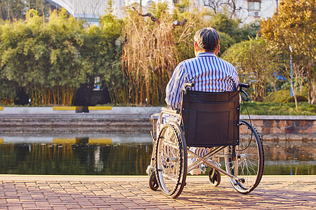 坐在轮椅上的孤独老人背影图片